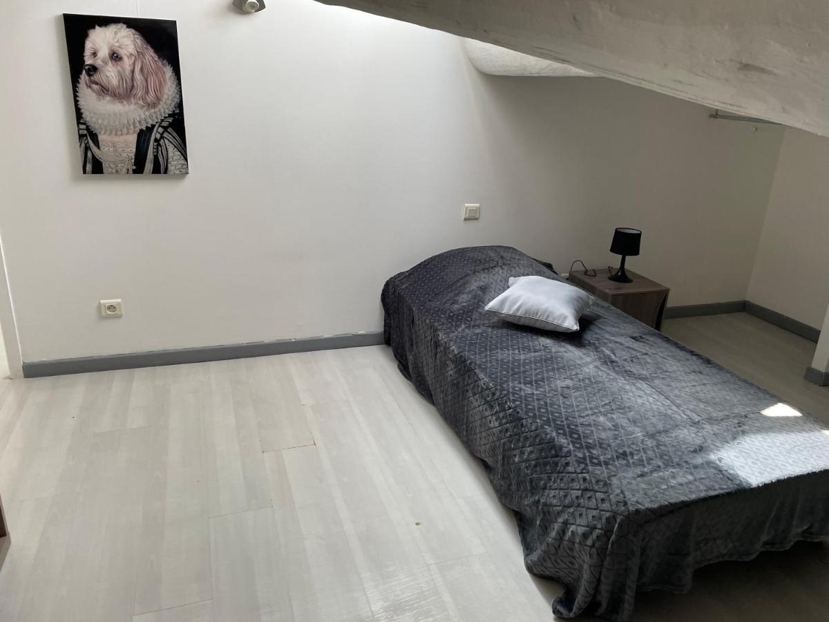 Appartement Des Penitents Saintes-Maries-de-la-Mer Bagian luar foto
